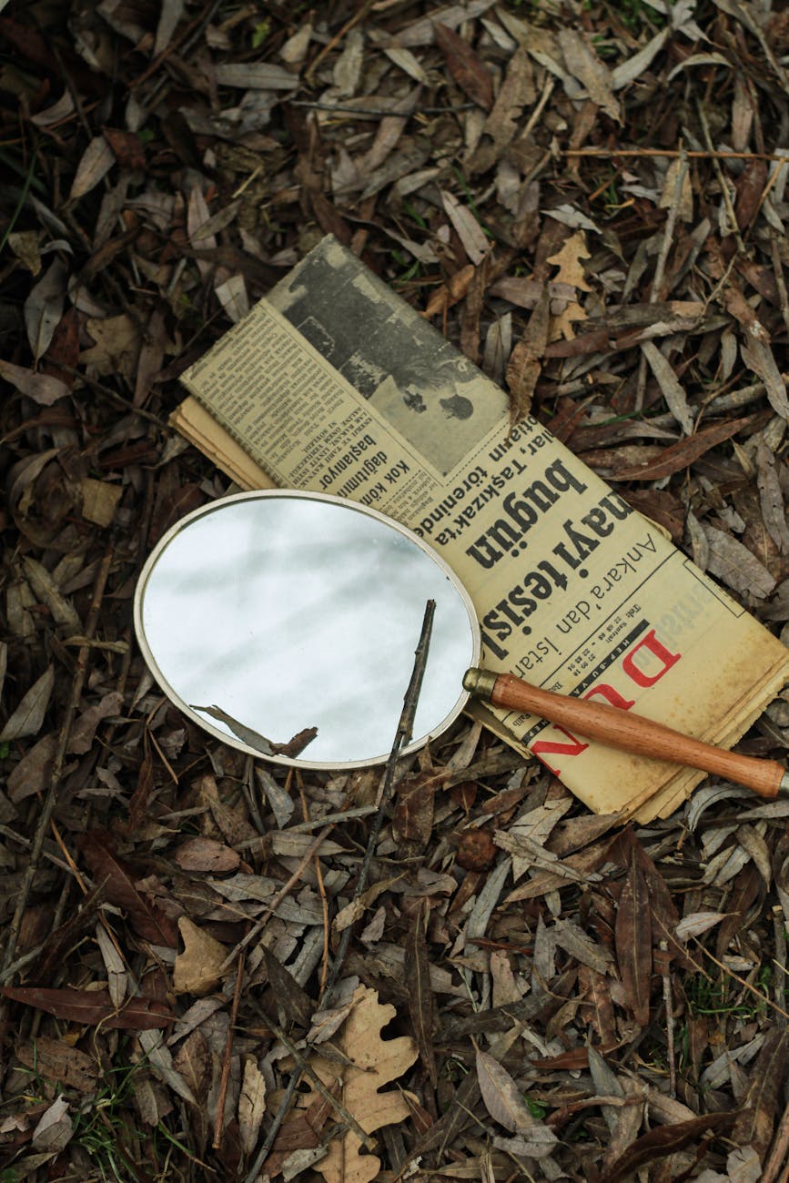 Author’s Mysterious Disappearance: Uncovering the Real Cause