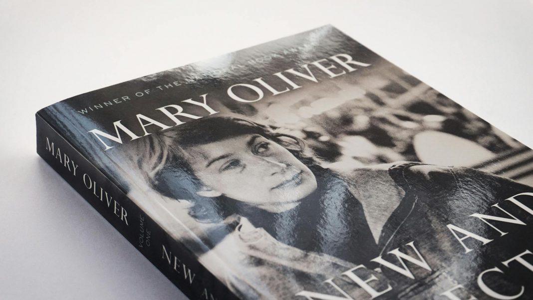 Publisher rejected a huge book manuscript that became a bestseller.